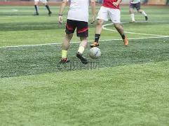 王楚钦对阵,张本智和巅,峰之战,开云体育,开云体育官网,开云体育app,开云体育平台,KAIYUN,SPORTS,kaiyun登录入口