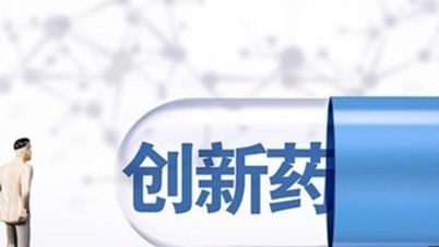 荣耀电竞手,机携手战队,共战新赛季,开云体育官网优惠,开云体育优惠,开云最新活动,开云促销,开云入口