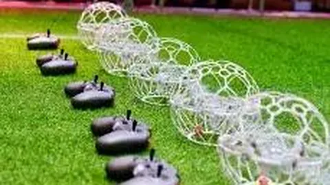 开云体育官网优惠 资讯 135028 s1s