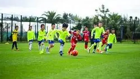 开云体育官网优惠 产品 135013 c5c